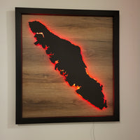 Framed LED Vancouver Island Wall Art