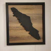 Framed LED Vancouver Island Wall Art