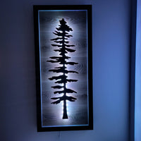 Framed LED Sitka Wall Art