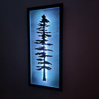 Framed LED Sitka Wall Art