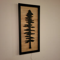 Framed LED Sitka Wall Art