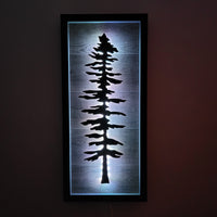 Framed LED Sitka Wall Art