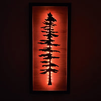 Framed LED Sitka Wall Art