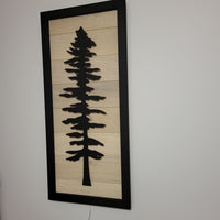 Framed LED Sitka Wall Art