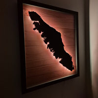 LED Vancouver Island Wall Art