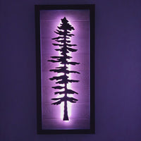 Framed LED Sitka Wall Art