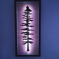 Framed LED Sitka Wall Art