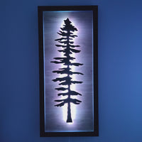 Framed LED Sitka Wall Art