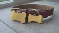 Polished Stainless BONE Gold