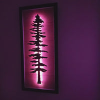 Framed LED Sitka Wall Art