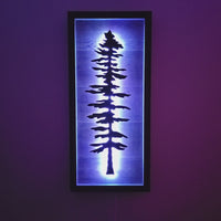 Framed LED Sitka Wall Art