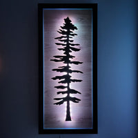 Framed LED Sitka Wall Art