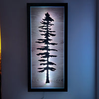 Framed LED Sitka Wall Art