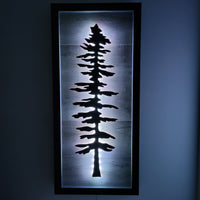 Framed LED Sitka Wall Art