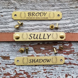 Brass Halter Plate / Notched Style
