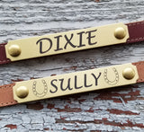 Brass Halter Plate / Notched Style