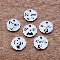 SMALL Stainless Round Tag