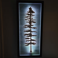 Framed LED Sitka Wall Art