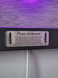 Framed LED Sitka Wall Art
