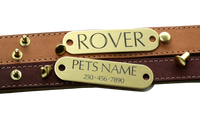 Brass Collar Tag With Rivets