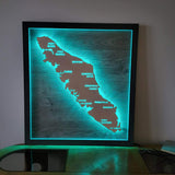 Framed LED Vancouver Island Wall Art